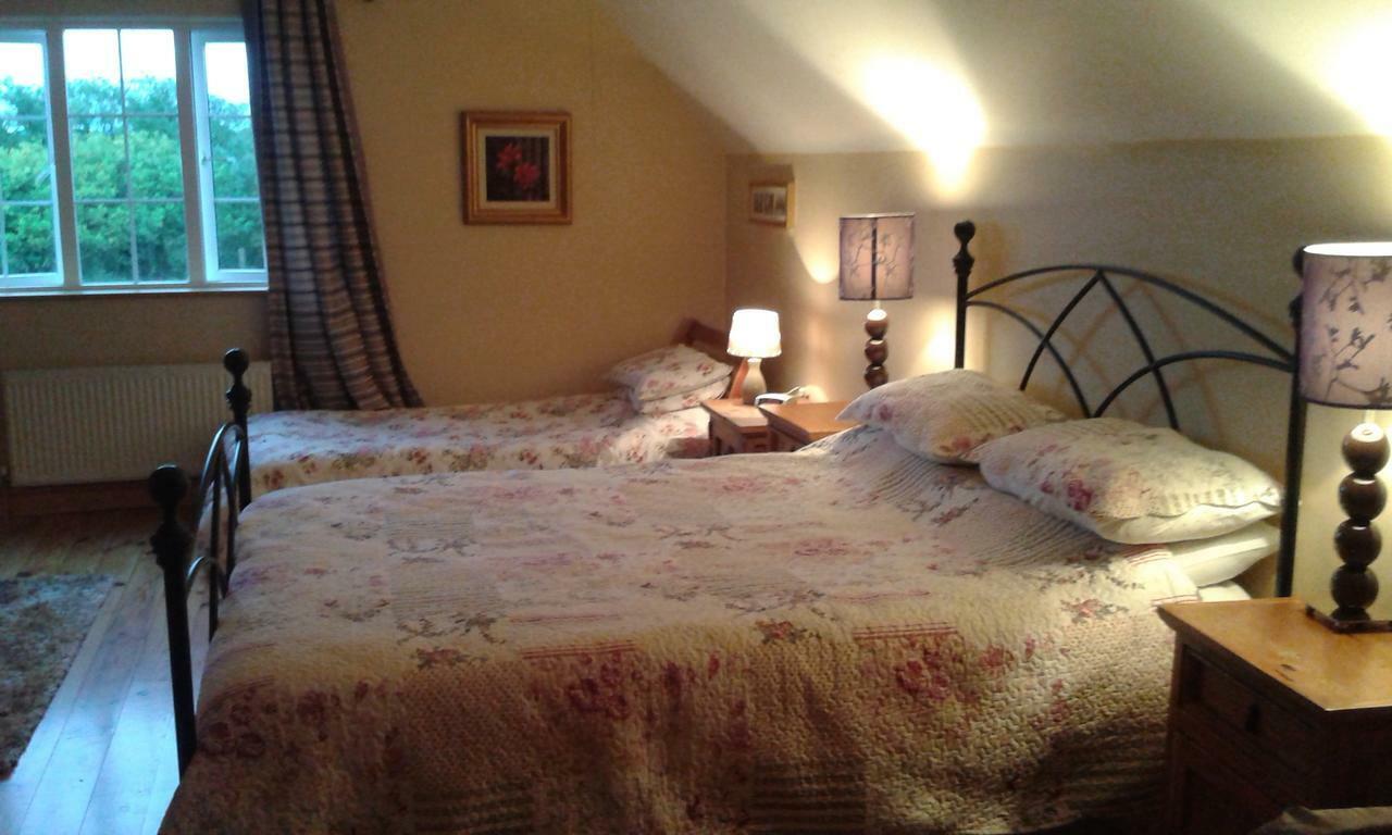 White Swan Bed and Breakfast Sherlockstown Zewnętrze zdjęcie